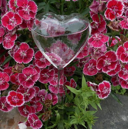 Automatic Watering Planter Bulb