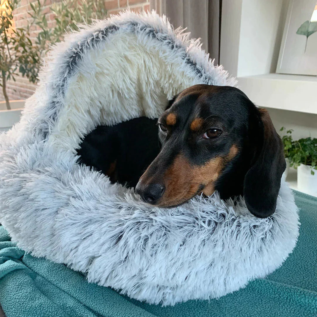Comfy Orthopedic Dog Bed - Plush Supportive Pet Mattress - Yeezlab