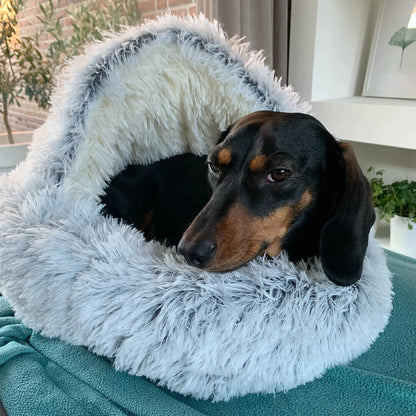 Comfy Orthopedic Dog Bed - Plush Supportive Pet Mattress - Yeezlab
