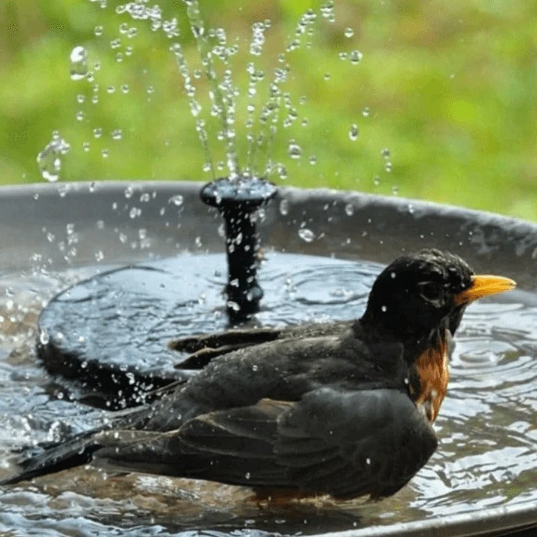 Outdoor Solar Powered Water Fountain