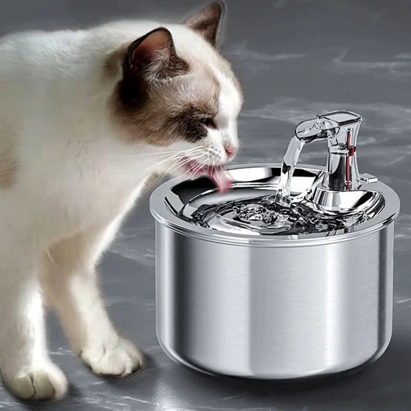 Pet Fountain Stainless Steel Cat Water Dispenser with Filter - Yeezlab