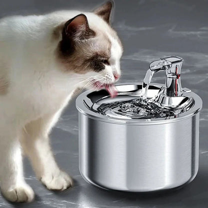 Pet Fountain Stainless Steel Cat Water Dispenser with Filter - Yeezlab