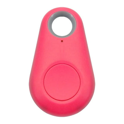 Pet GPS Tracker with Live Location & Safe Zones