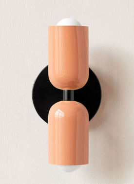 Colorful Dual LED Wall Lamp in Metal Frame