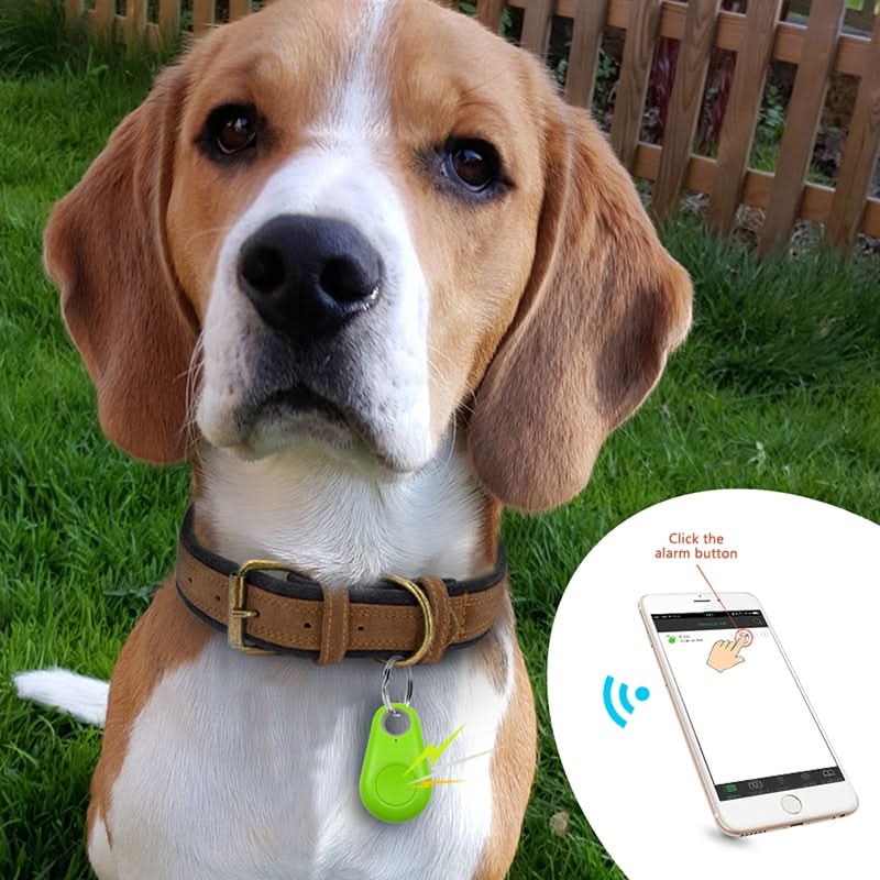 Pet GPS Tracker with Live Location & Safe Zones