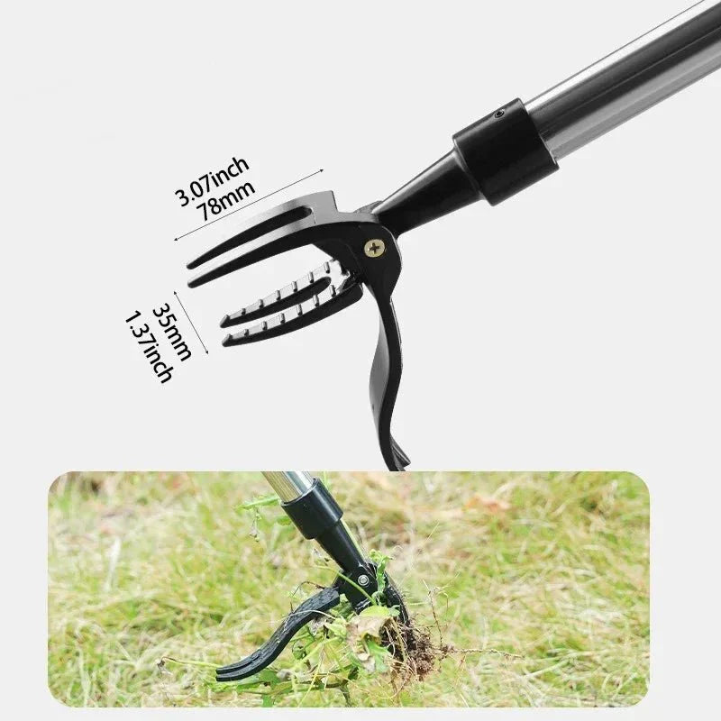 Effective Weed Removal Tool