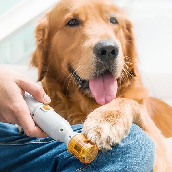Easy Pet Nail Clippers For Dogs And Cats - Yeezlab