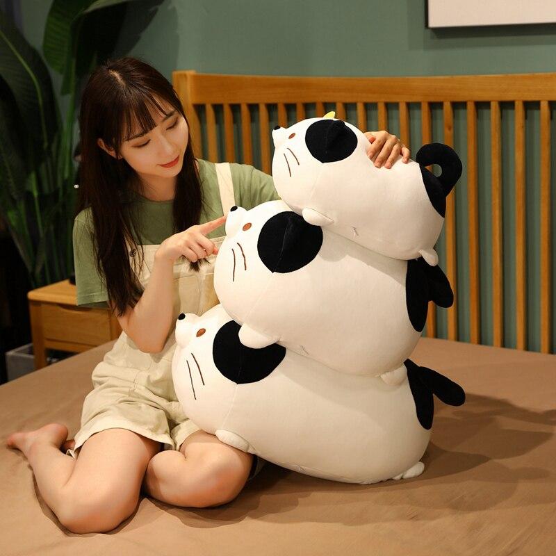 Funny Kitty Lover Group