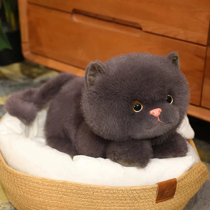 Cuddly Cat Plush Toy Squad
