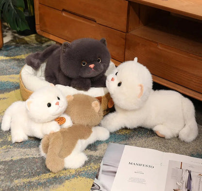 Cuddly Cat Plush Toy Squad