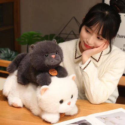 Cuddly Cat Plush Toy Squad