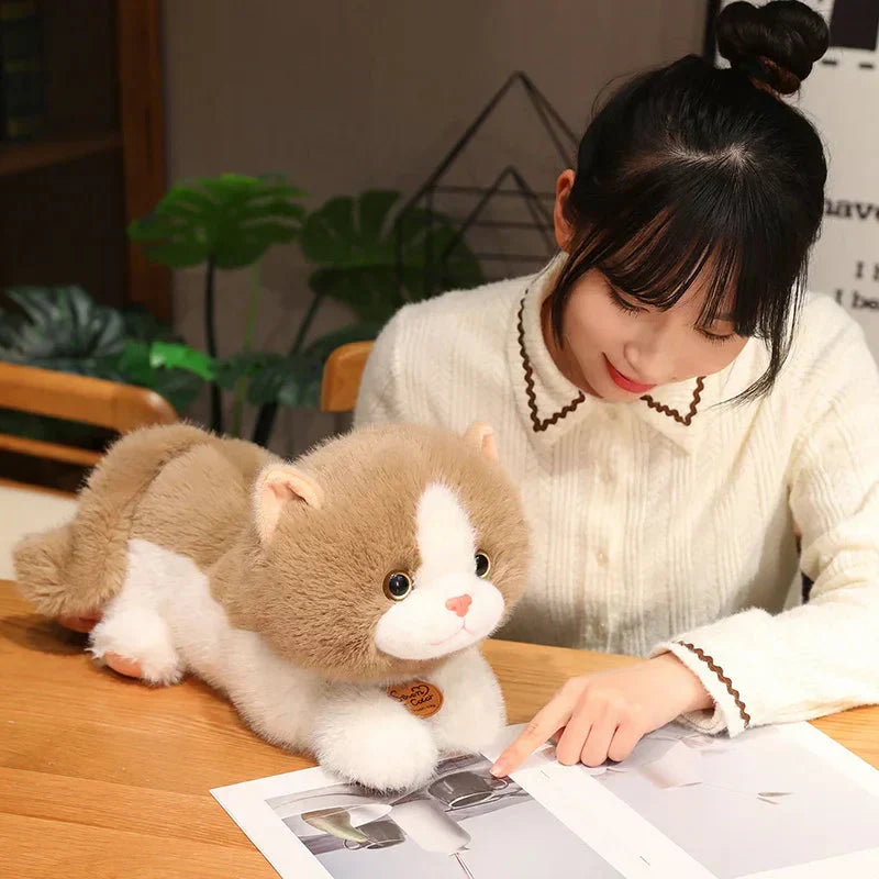 Cuddly Cat Plush Toy Squad