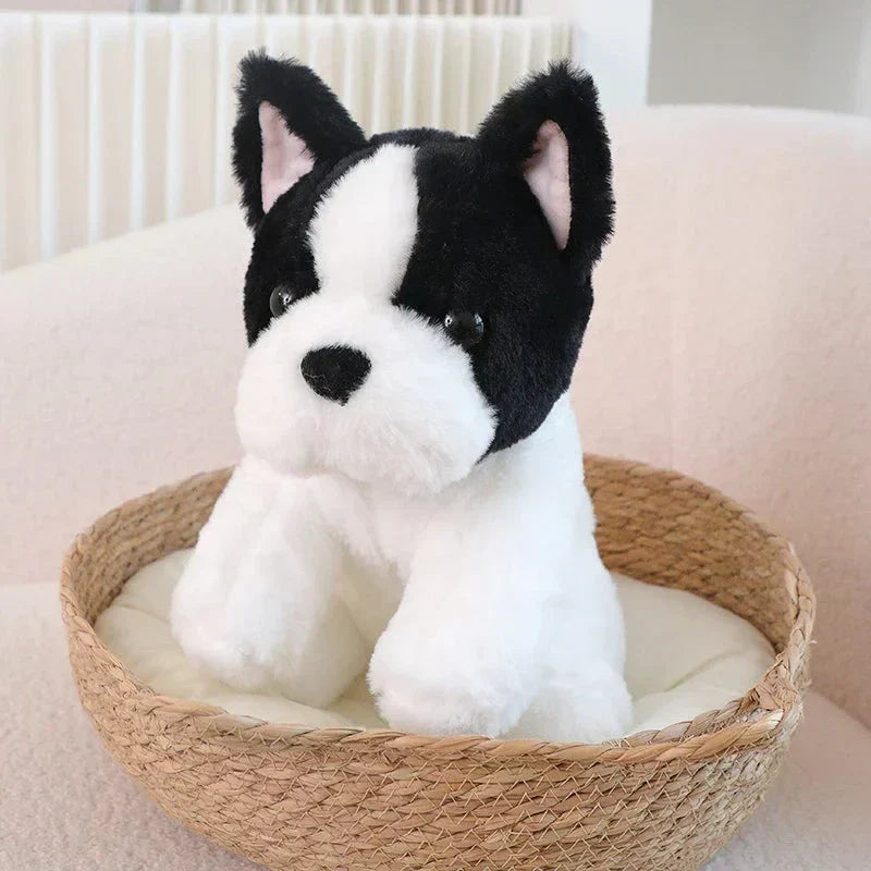 Cute White French Bulldog Soft Toy