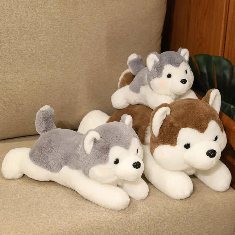 Cute Husky Teddy Plush Toy