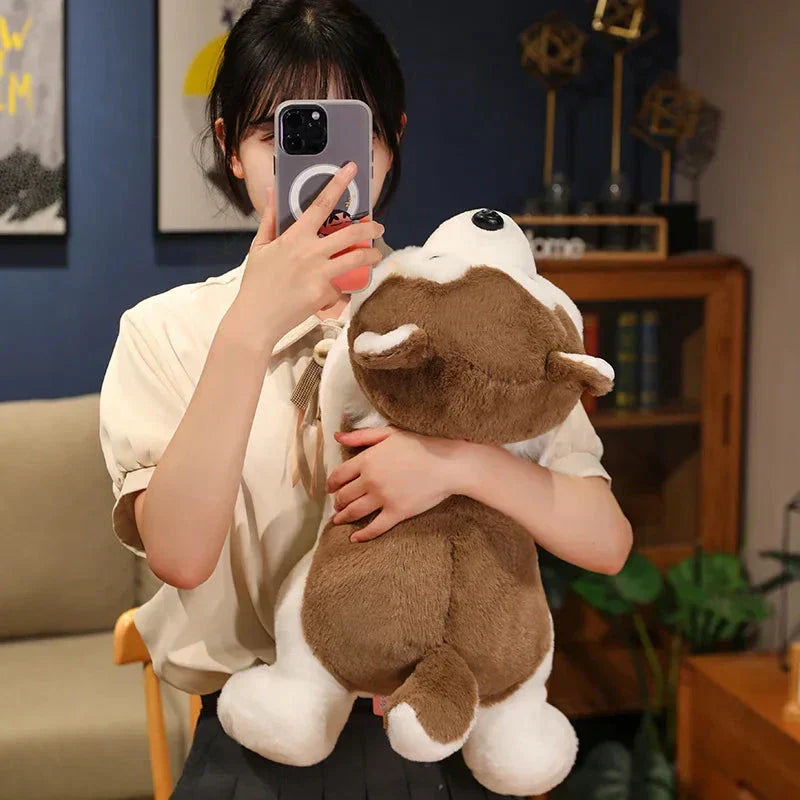 Cute Husky Teddy Plush Toy