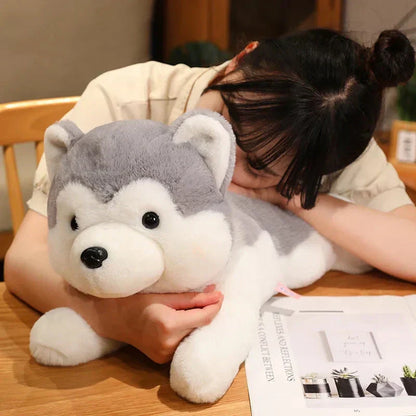 Cute Husky Teddy Plush Toy