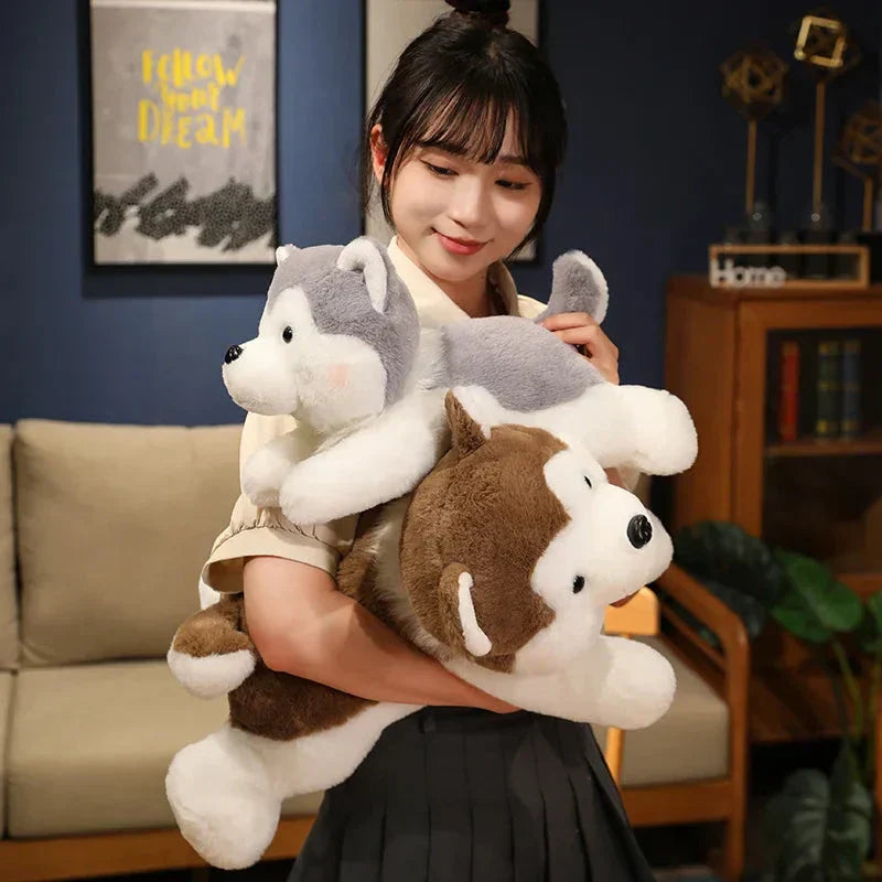 Cute Husky Teddy Plush Toy