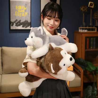Cute Husky Teddy Plush Toy