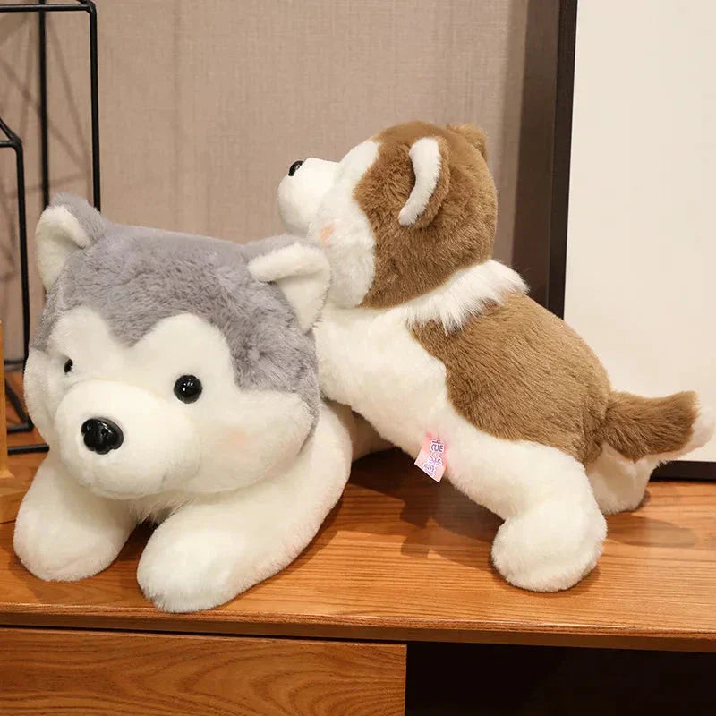 Cute Husky Teddy Plush Toy