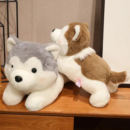 Cute Husky Teddy Plush Toy