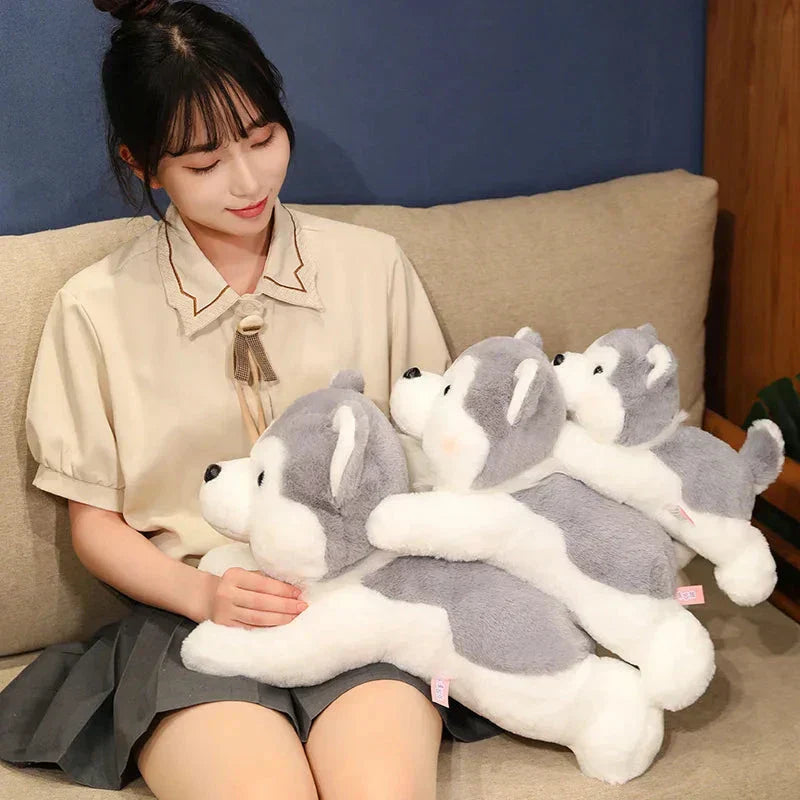 Cute Husky Teddy Plush Toy
