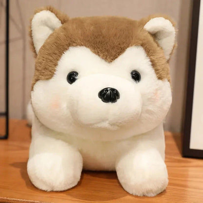 Cute Husky Teddy Plush Toy