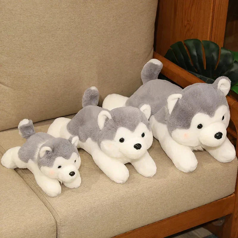 Cute Husky Teddy Plush Toy