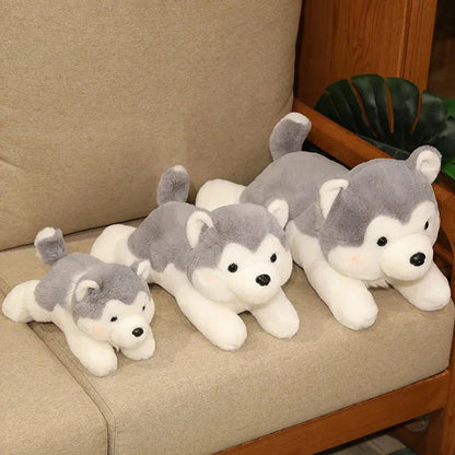Cute Husky Teddy Plush Toy