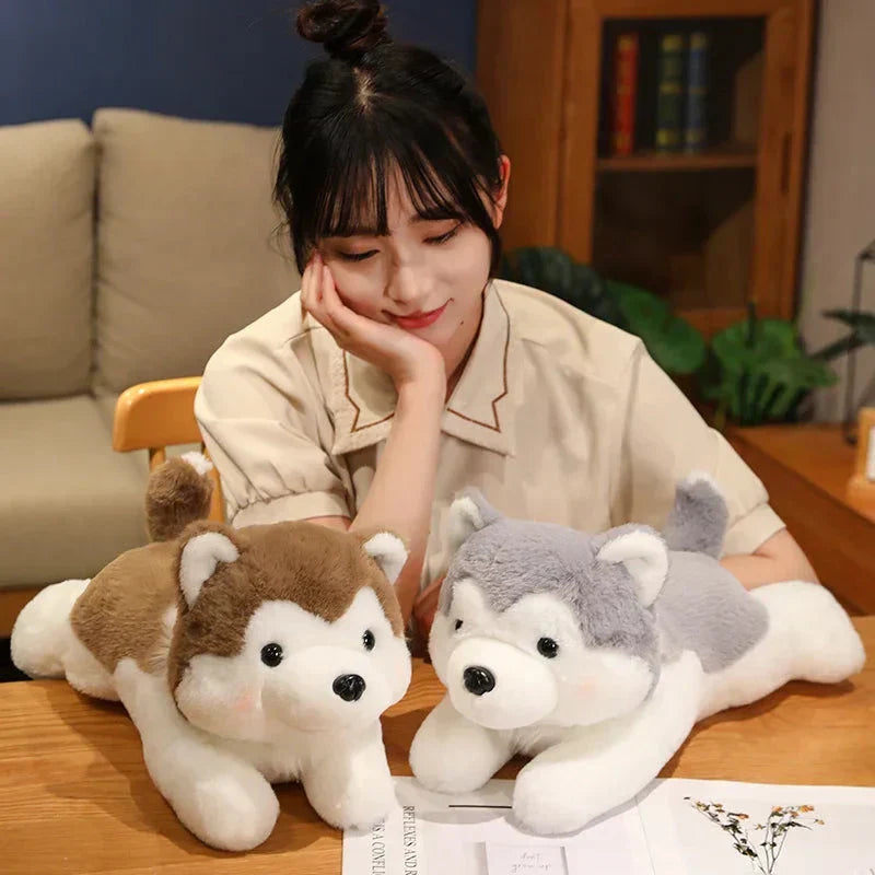 Cute Husky Teddy Plush Toy
