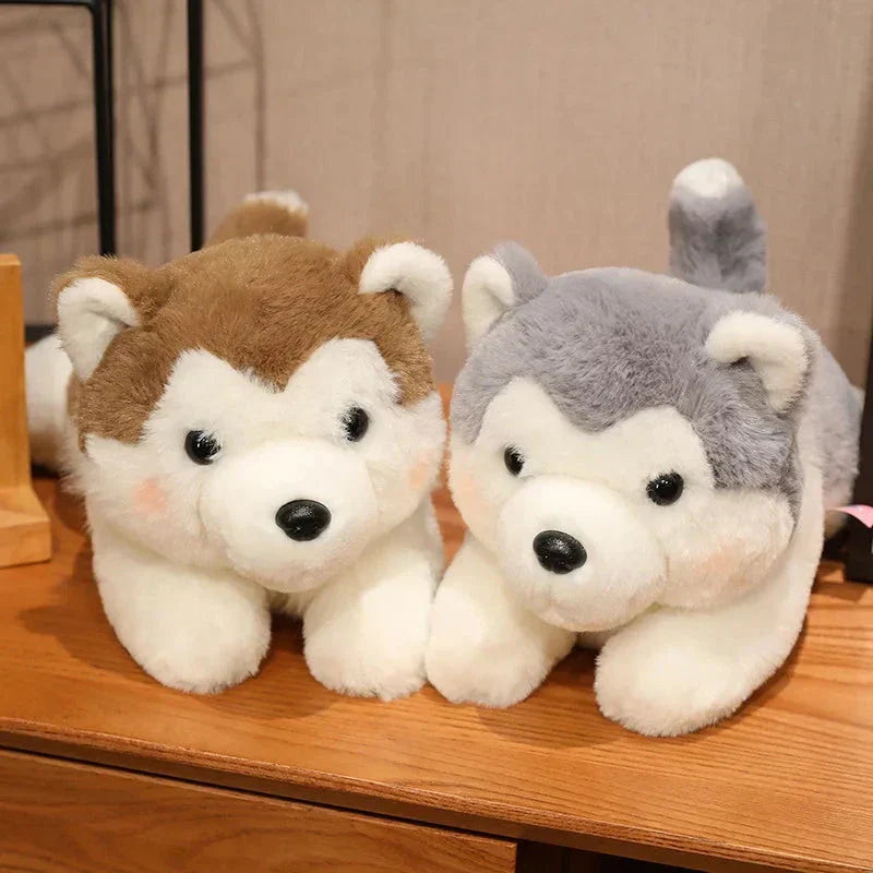 Cute Husky Teddy Plush Toy