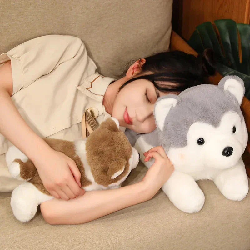 Cute Husky Teddy Plush Toy