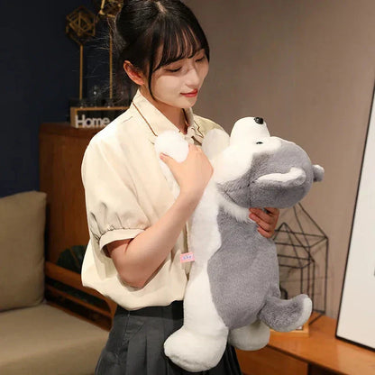 Cute Husky Teddy Plush Toy