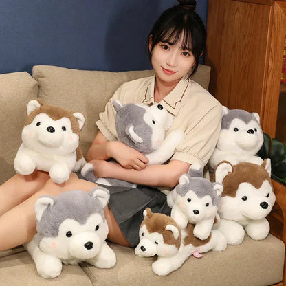 Cute Husky Teddy Plush Toy