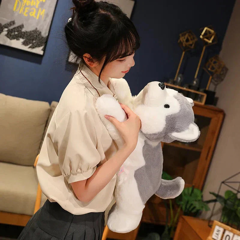 Cute Husky Teddy Plush Toy