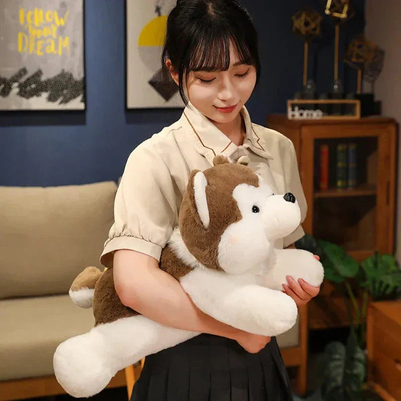Cute Husky Teddy Plush Toy