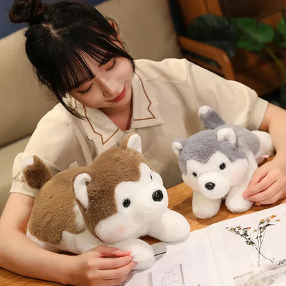 Cute Husky Teddy Plush Toy