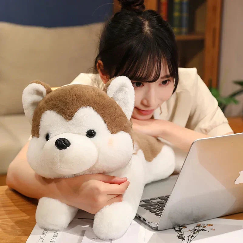 Cute Husky Teddy Plush Toy - Yeezlab