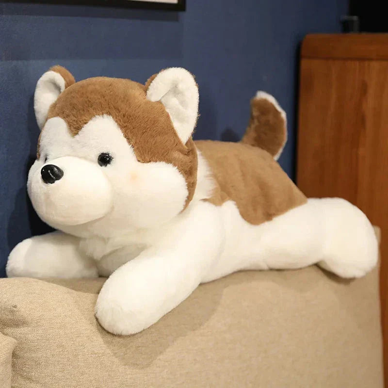 Cute Husky Teddy Plush Toy