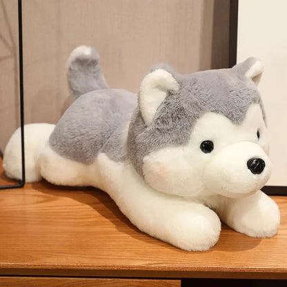 Cute Husky Teddy Plush Toy
