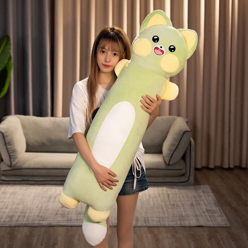 Cuddly Cat and Raccoon Soft Plush Toys