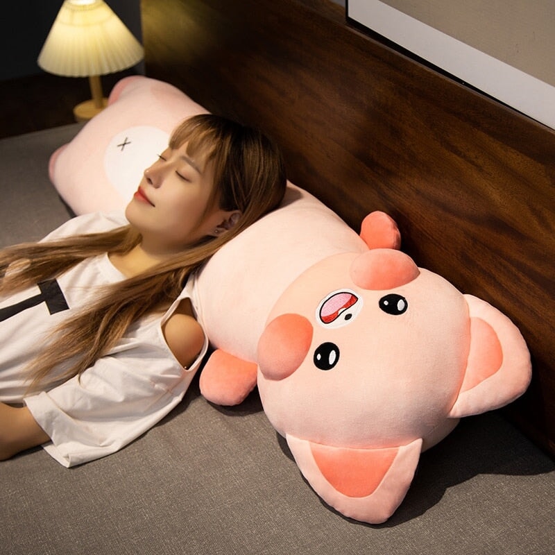 Cuddly Cat and Raccoon Soft Plush Toys