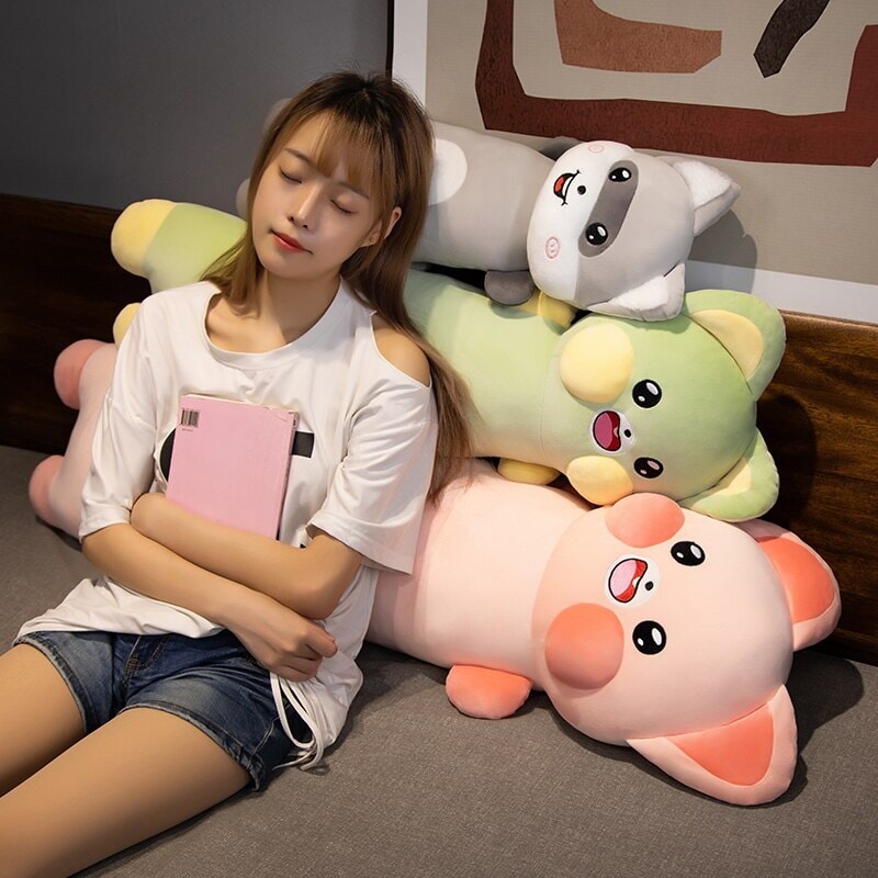 Cuddly Cat and Raccoon Soft Plush Toys