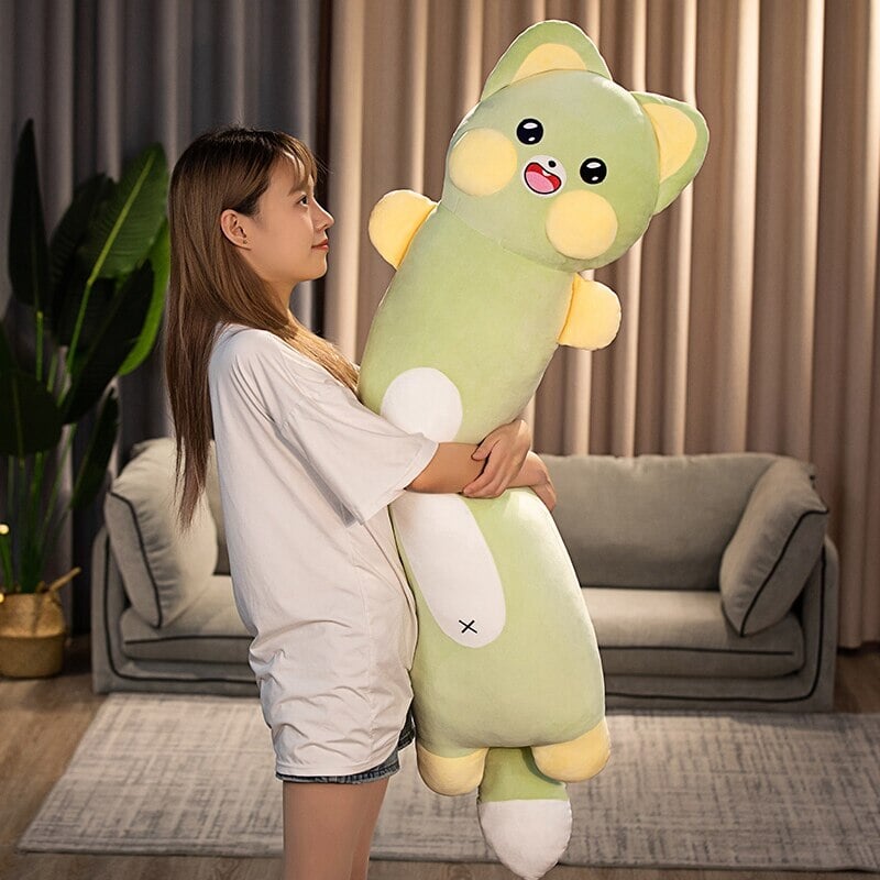 Cuddly Cat and Raccoon Soft Plush Toys