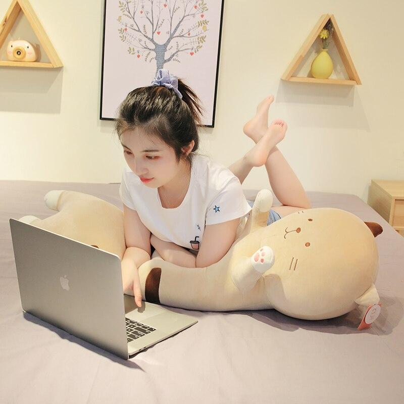 Cuddly Cat Plush Friends