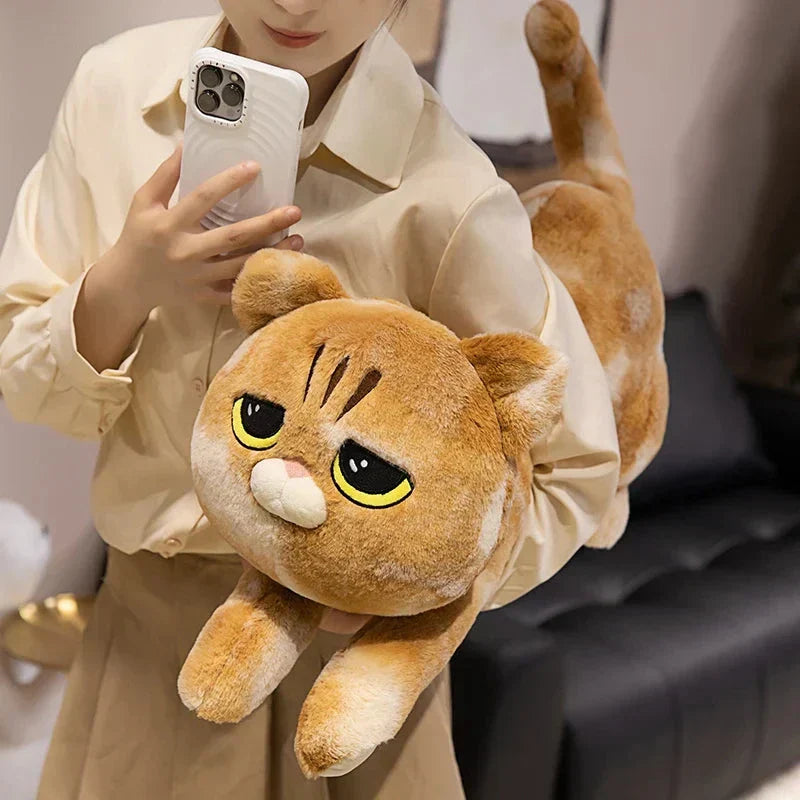 Cuddly Kitten Soft Plush Toys