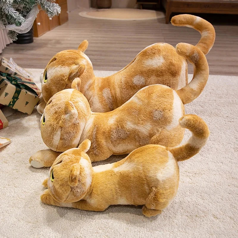 Cuddly Kitten Soft Plush Toys