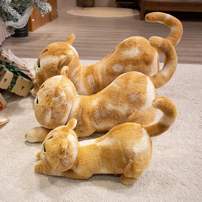 Cuddly Kitten Soft Plush Toys