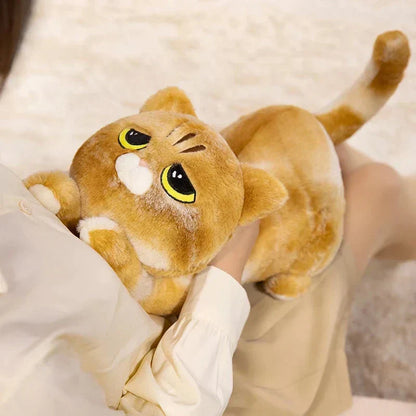 Cuddly Kitten Soft Plush Toys