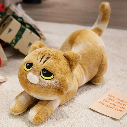 Cuddly Kitten Soft Plush Toys