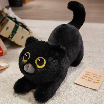 Cuddly Kitten Soft Plush Toys